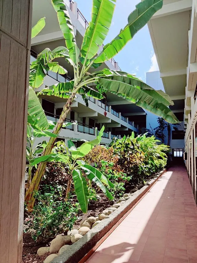 Apartment Maravilla Suite 140 M2 - 3 Bedrooms, Heated Pool Costa Del Silencio Spain